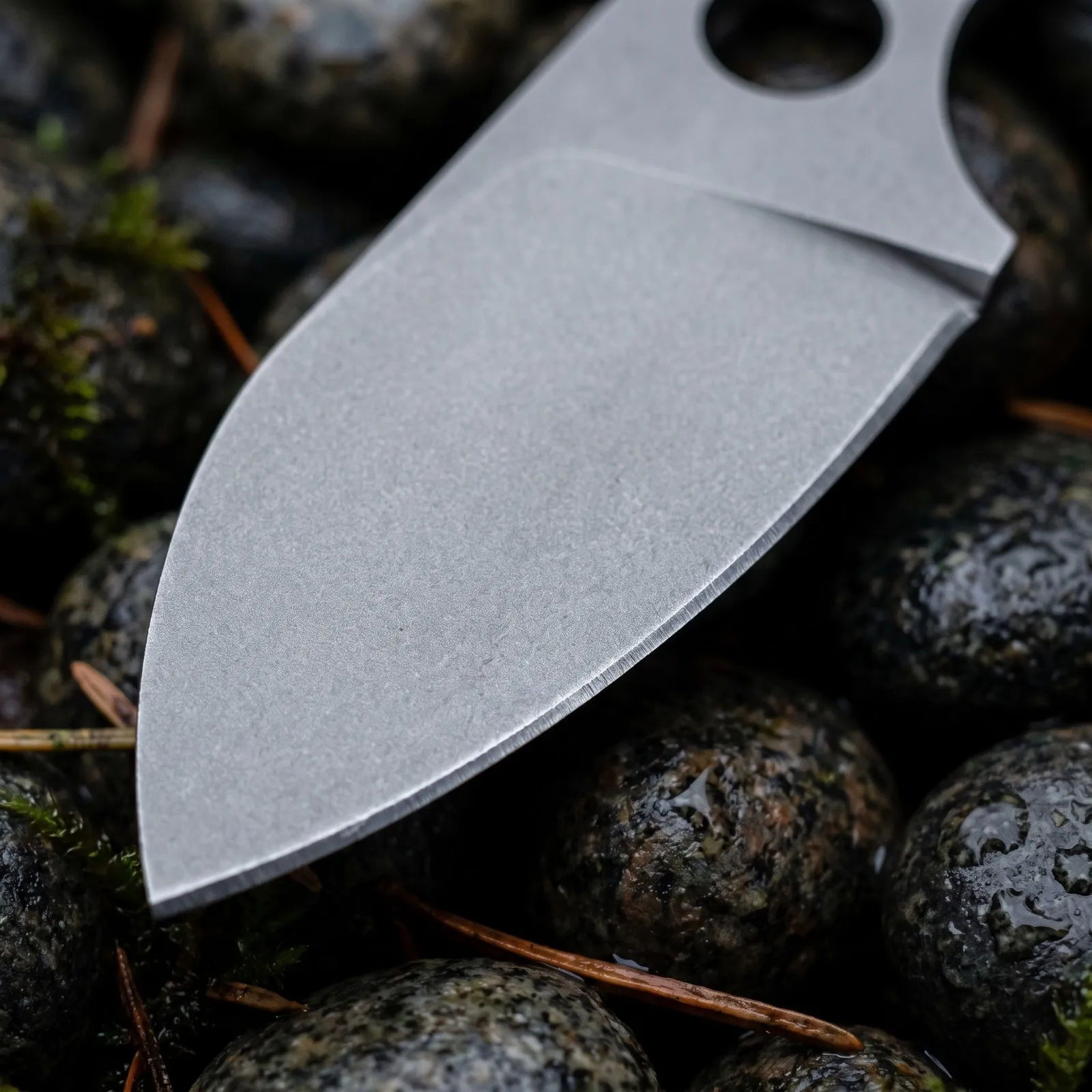 Full-Tang Stainless Steel EDC  - Knife Hunting Fixed Blade review and price